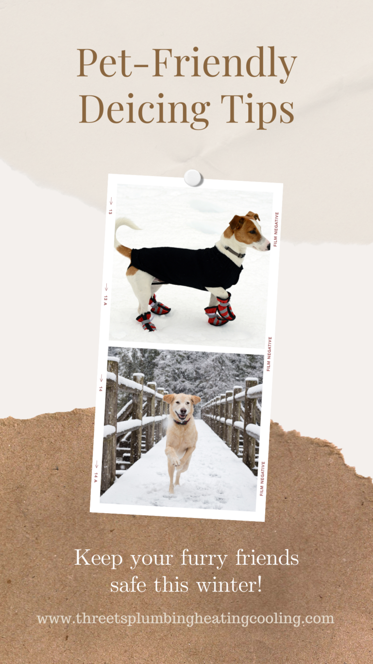 Pet-Friendly Tips to Keep Winter Ice at Bay